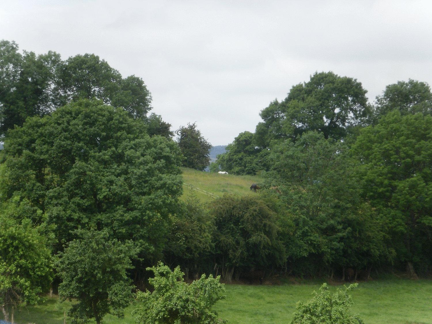 Stone Hill Farm B&B Shrawley Exteriör bild